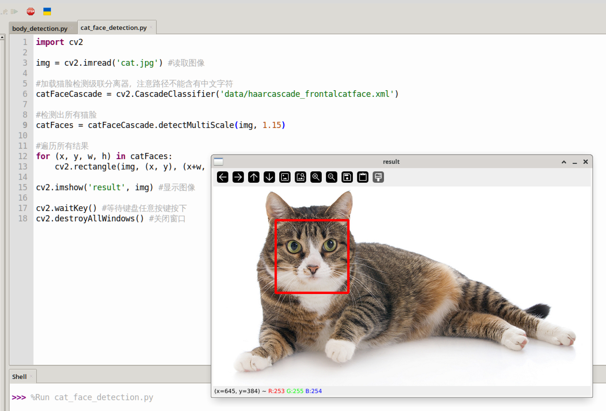 cat_face_detection